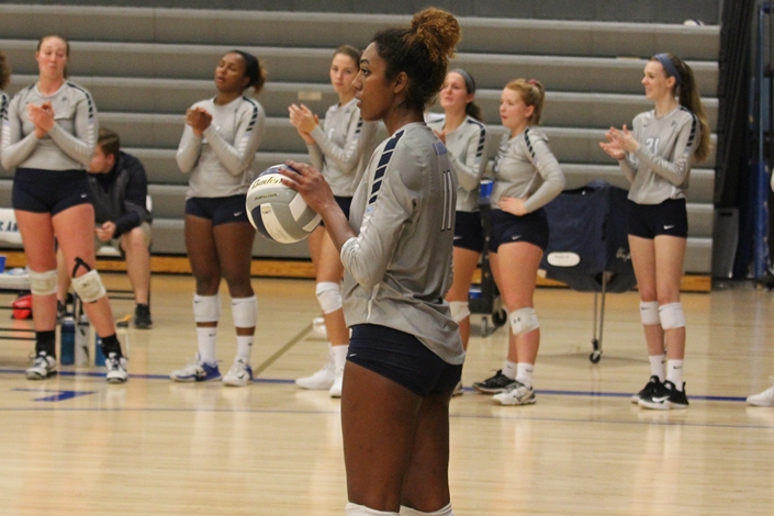 Porter's 18 kills not enough in loss to Cougars