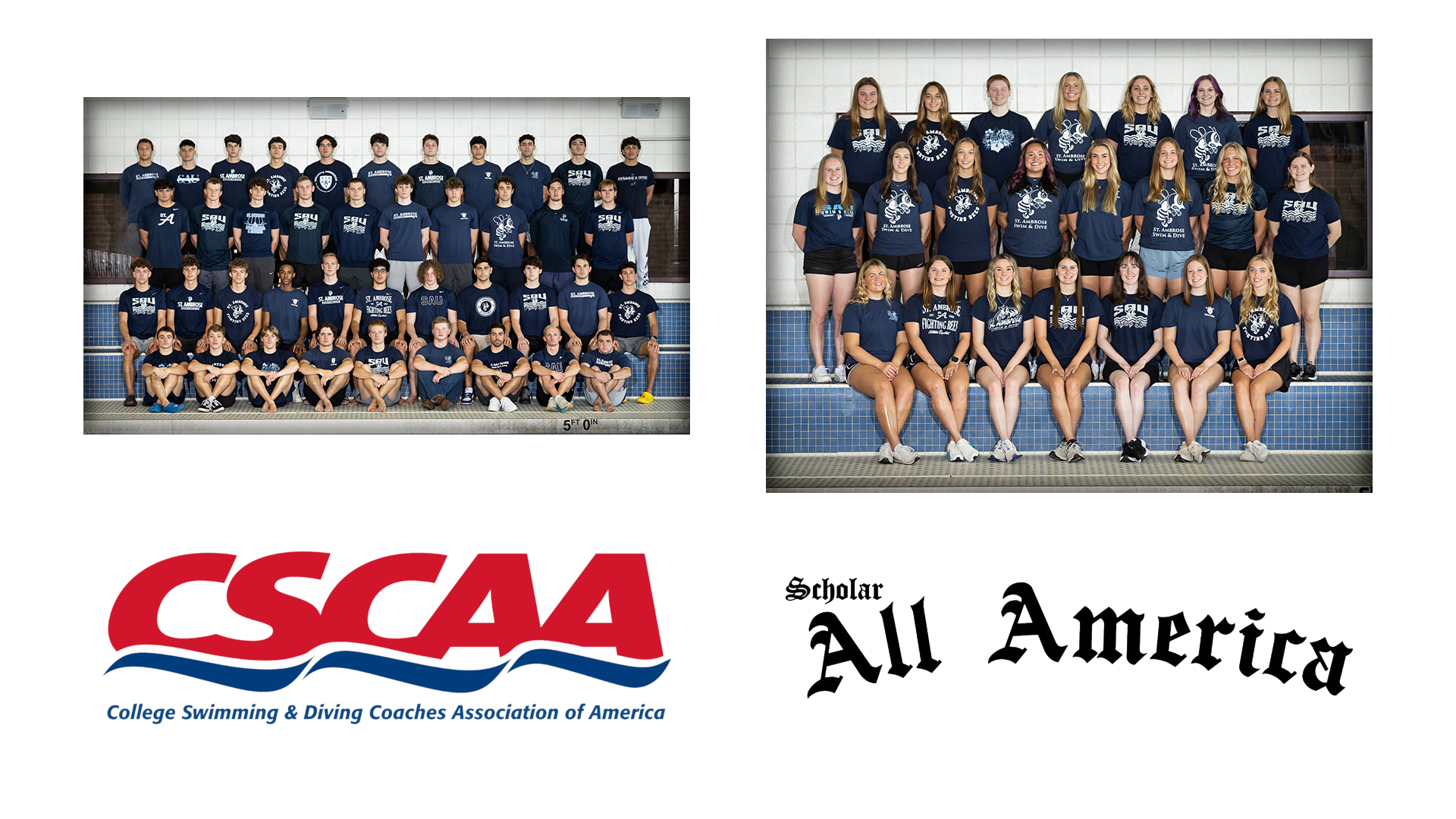 St. Ambrose named CSCAA All-America Team