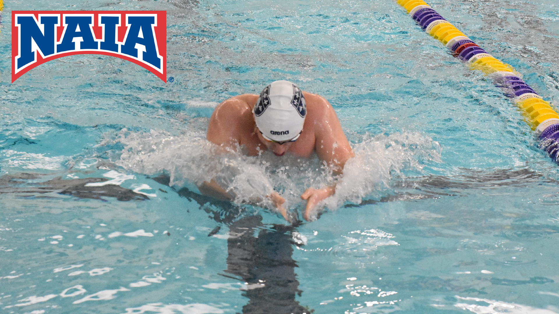 St. Ambrose leads NAIA in swim and dive Scholar-Athletes
