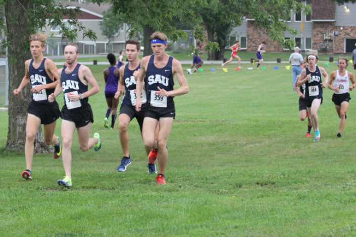 Swarm of Bees lead the way to Short Course Duals