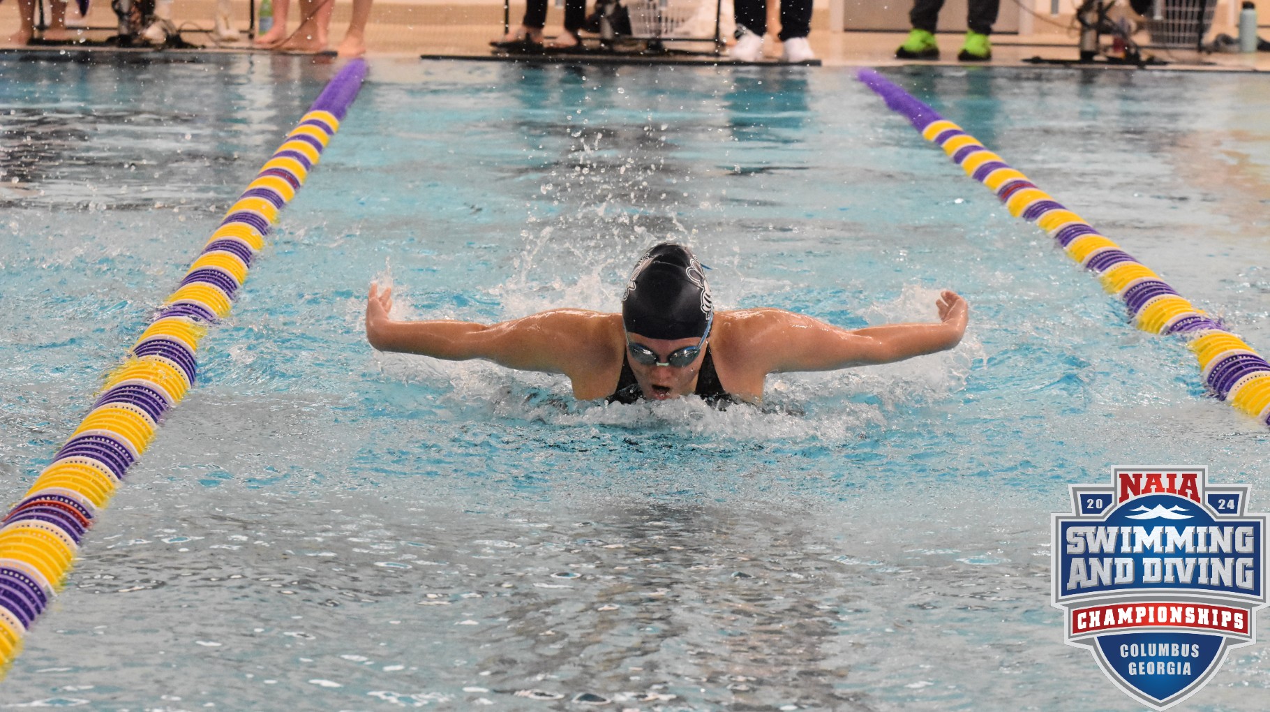 SAU looks to swim for a National Title